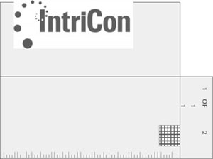 INTRICON LOGO